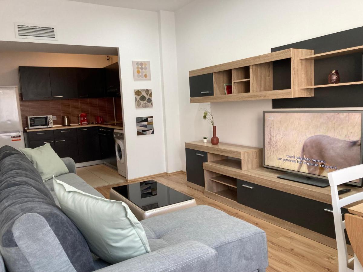 Laroka House Rin Grand Residence Modern Apartment Бухарест Екстер'єр фото